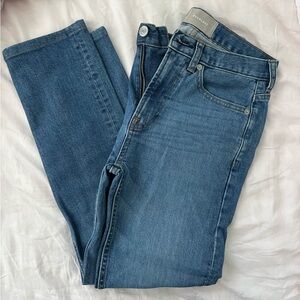 Everlane Mid Wash Boyfriend Jeans